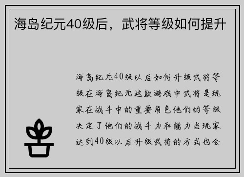 海岛纪元40级后，武将等级如何提升